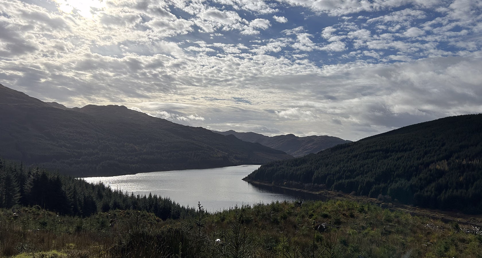 View of Loch Tarsan from forestry paths