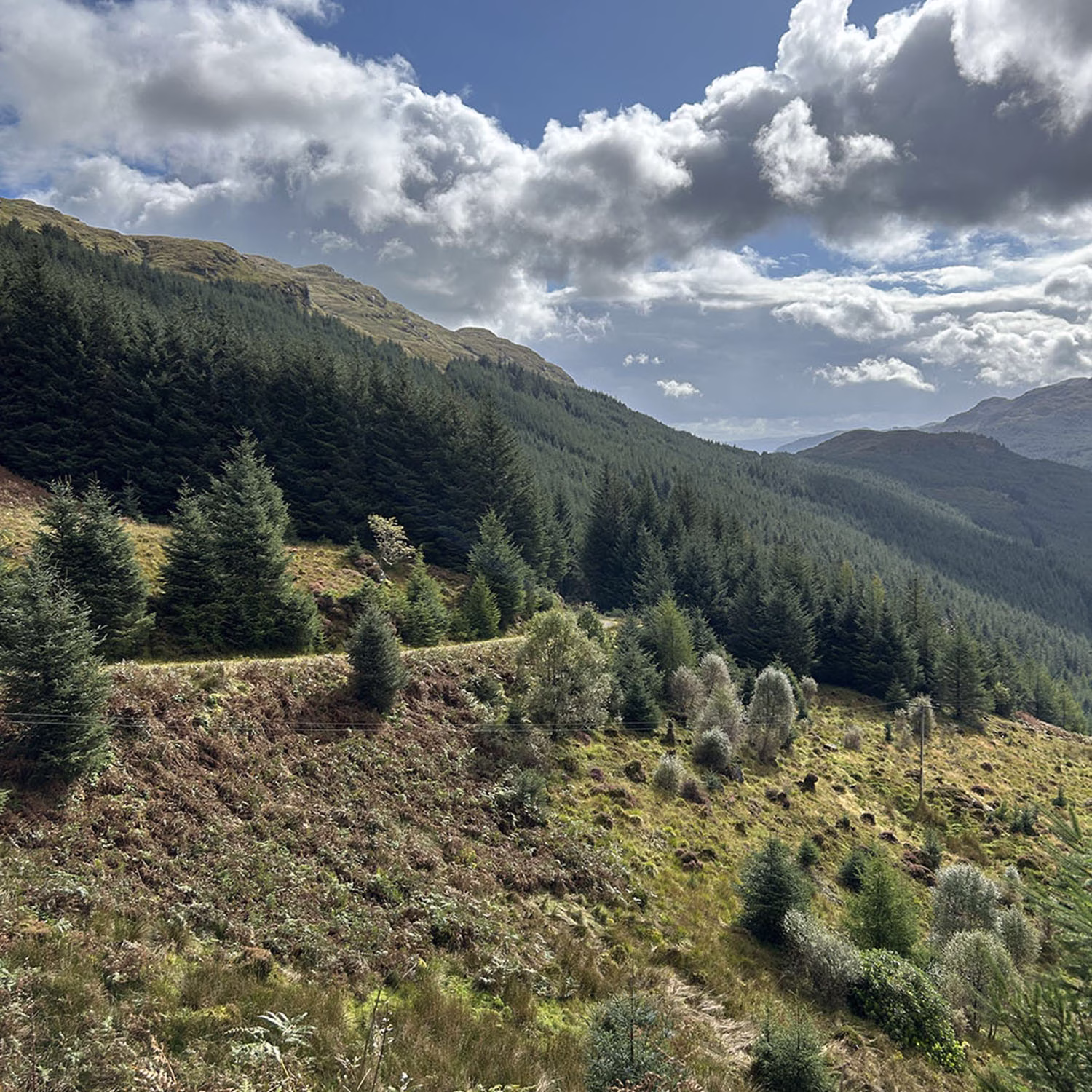 Gravel road winding through hills in Dunoon