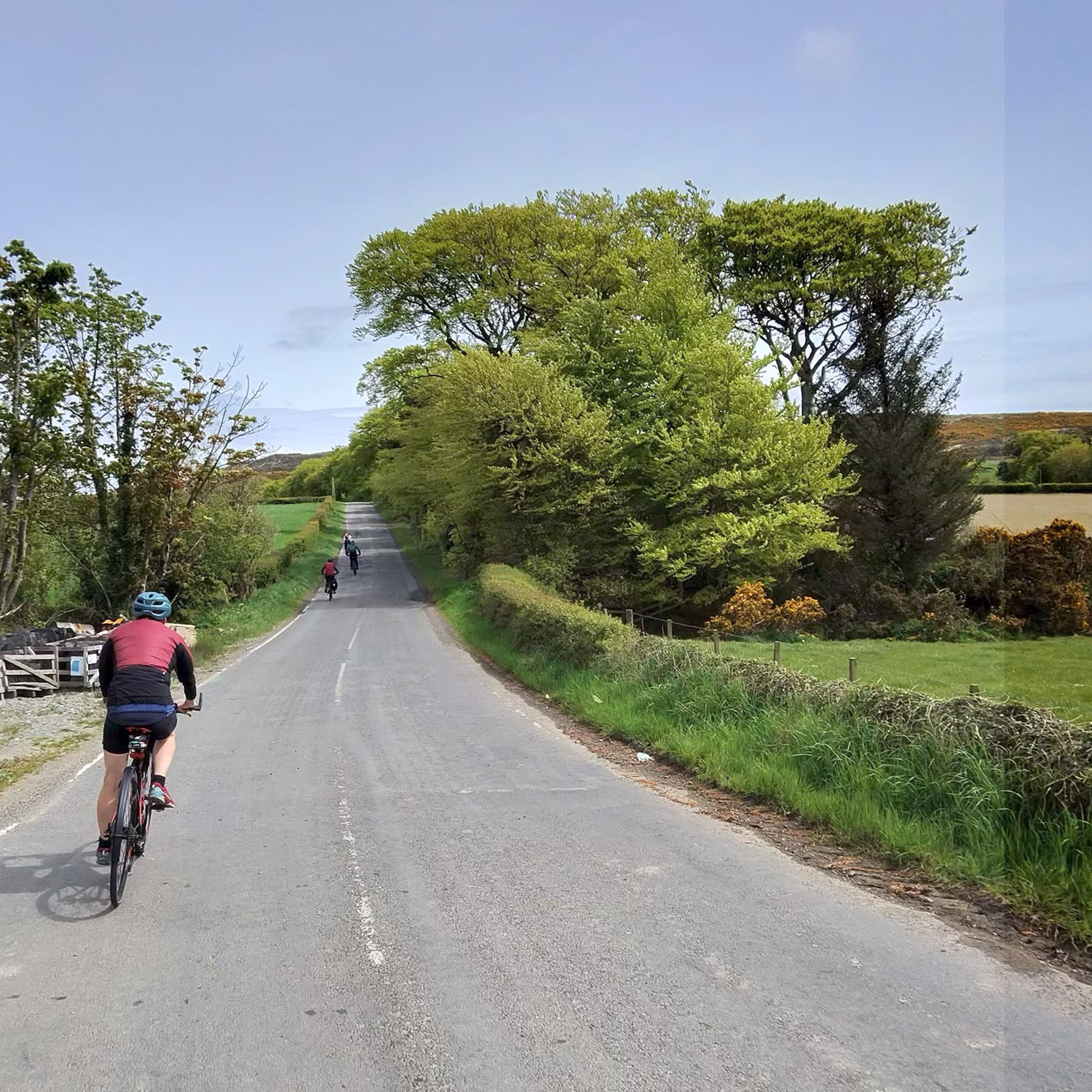 Cycling in Bute