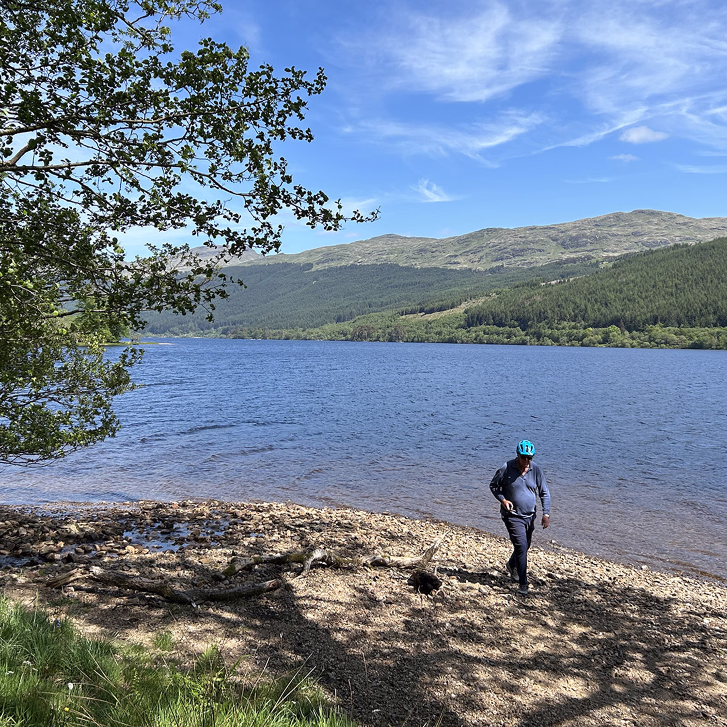 Loch Eck beach